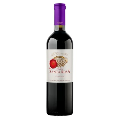 Vinho Branco Zorzal Terroir Único Sauvignon Blanc 2024 - Compre